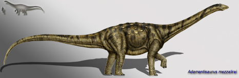 Adamantisaurus