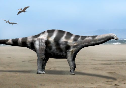 Demandasaurus NT.jpg
