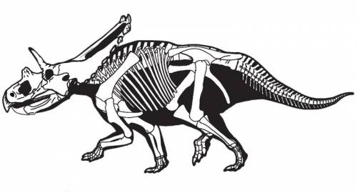 Mojoceratops