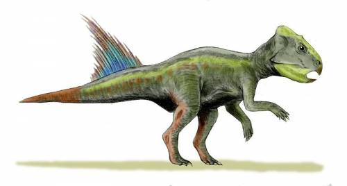 Archaeoceratops BW.jpg