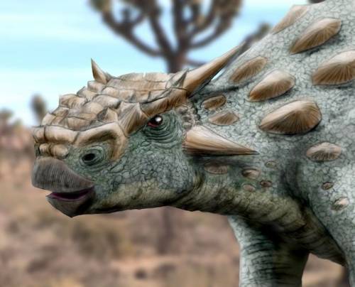Minotaurasaurus ramachandrani