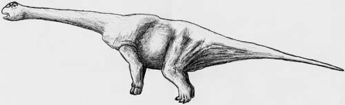 Аргирозавр