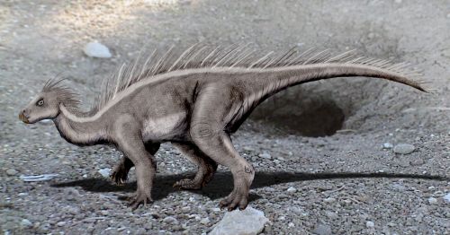 Koreanosaurus NT.jpg